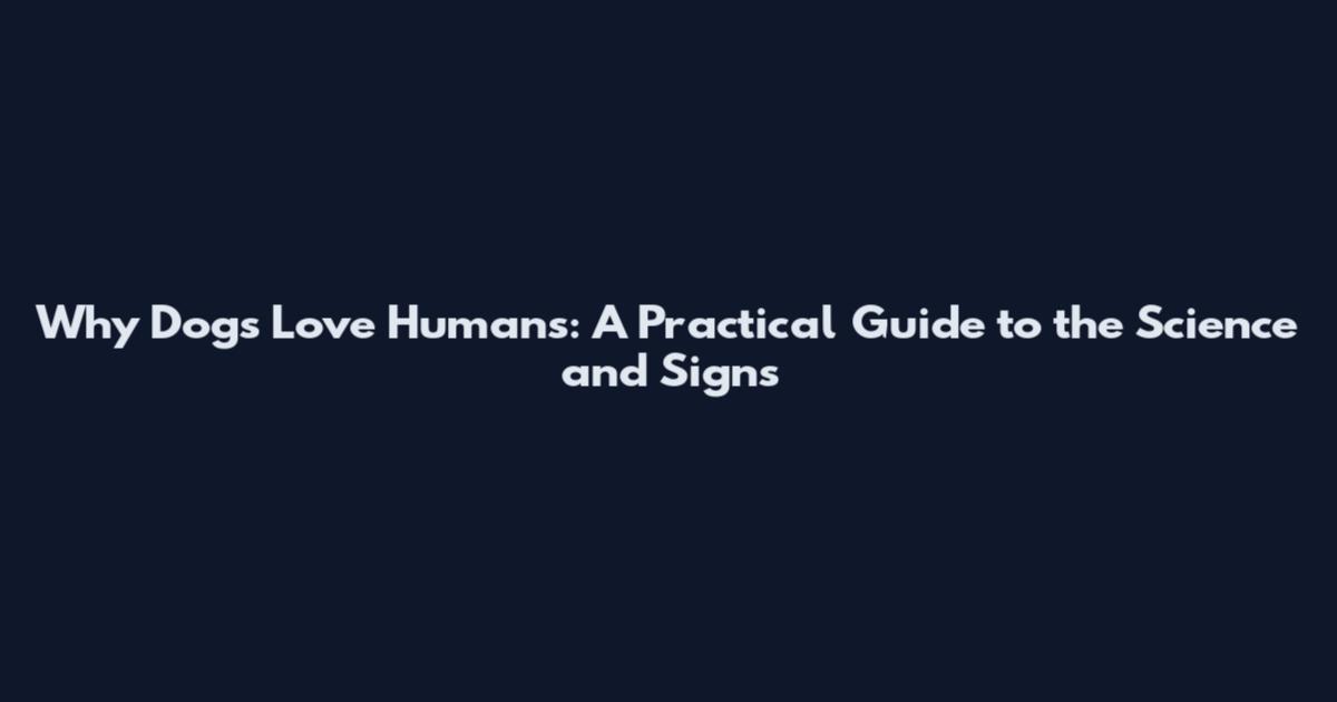Why Dogs Love Humans: A Practical Guide to the Science and Signs