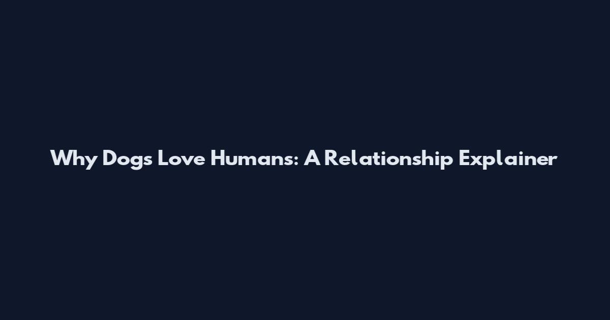 Why Dogs Love Humans: A Relationship Explainer