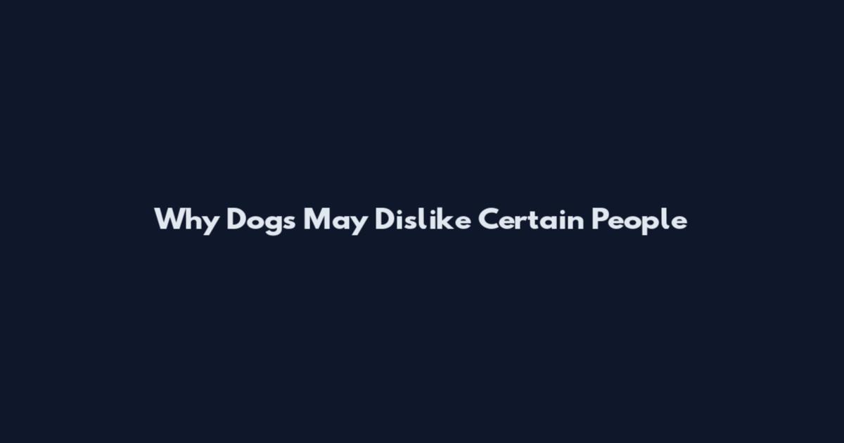 Why Dogs May Dislike Certain People