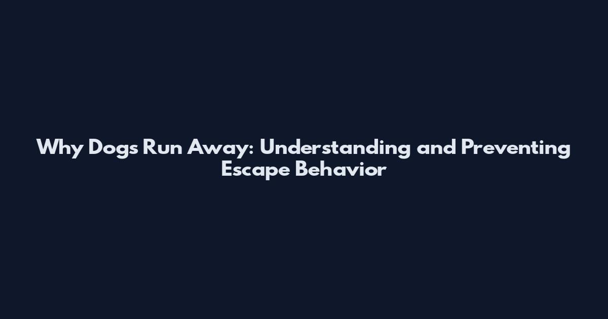 Why Dogs Run Away: Understanding and Preventing Escape Behavior