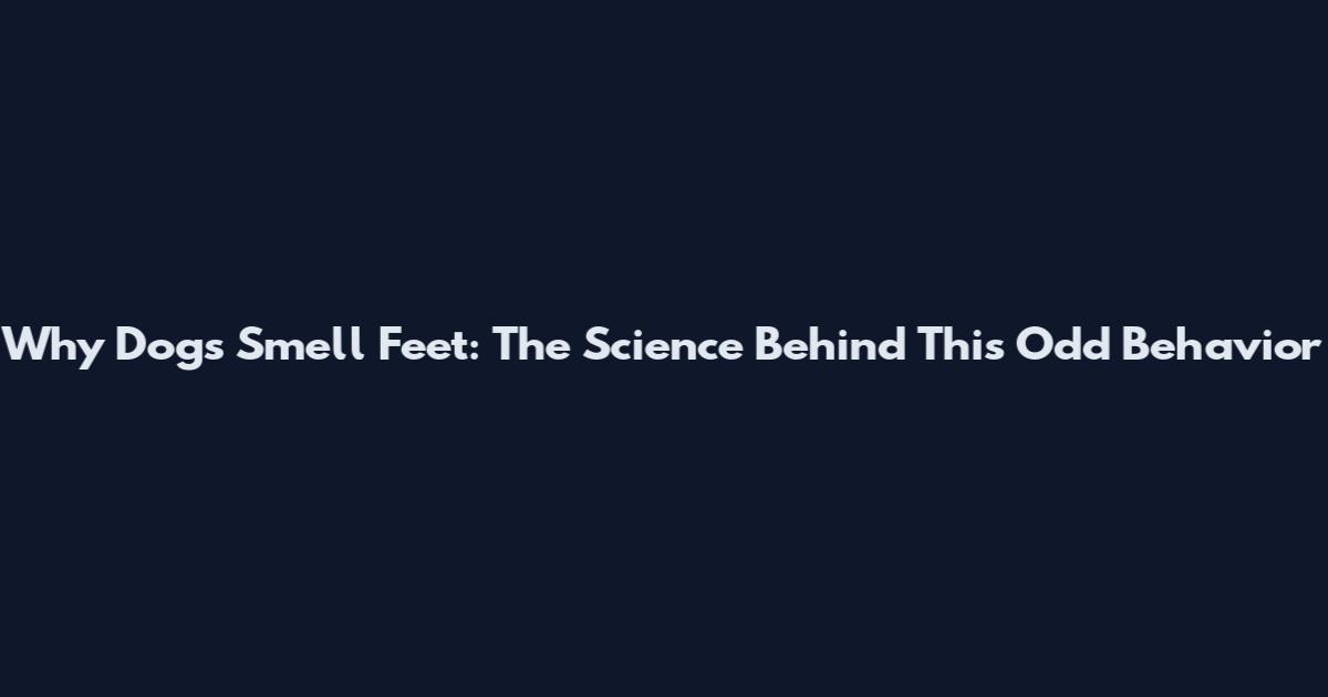 Why Dogs Smell Feet: The Science Behind This Odd Behavior