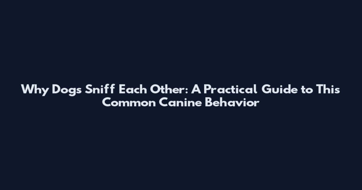 Why Dogs Sniff Each Other: A Practical Guide to This Common Canine Behavior