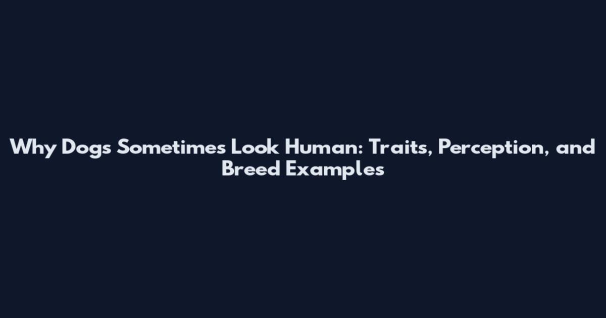 Why Dogs Sometimes Look Human: Traits, Perception, and Breed Examples