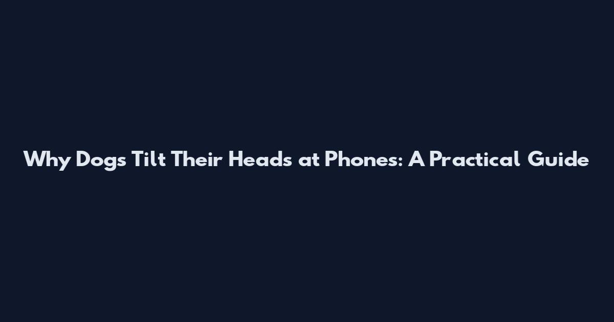 Why Dogs Tilt Their Heads at Phones: A Practical Guide