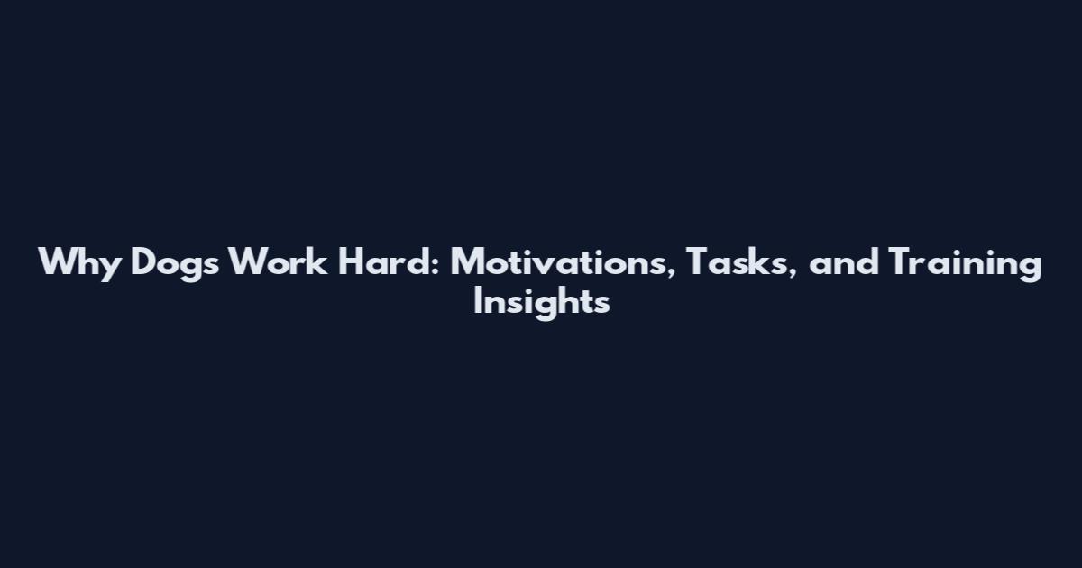 Why Dogs Work Hard: Motivations, Tasks, and Training Insights