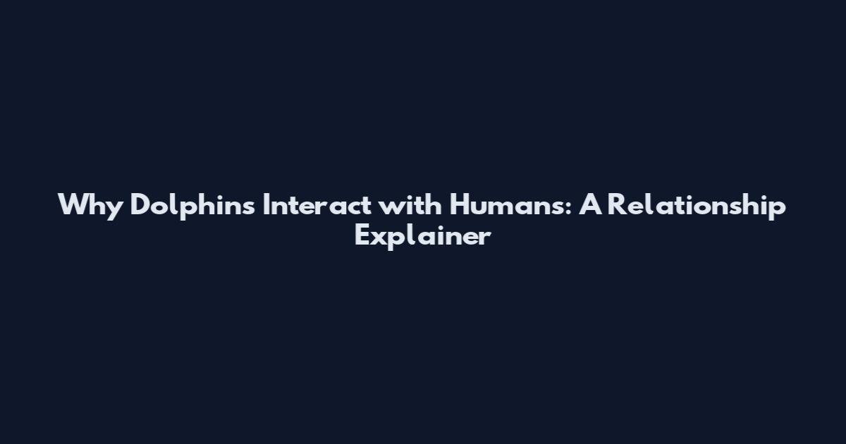 Why Dolphins Interact with Humans: A Relationship Explainer