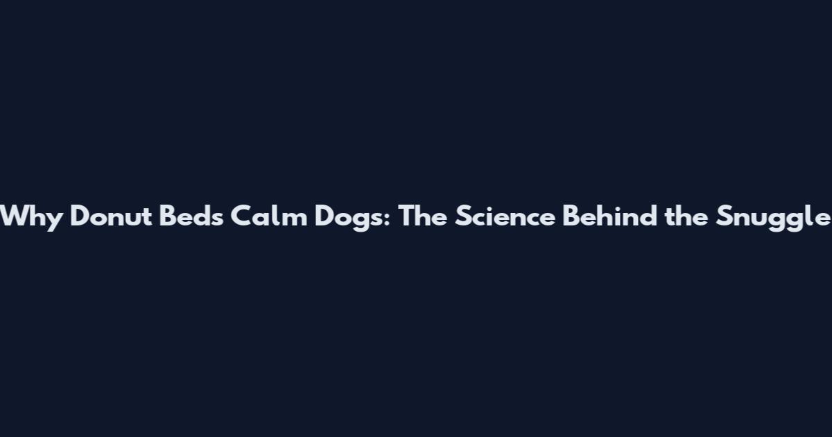 Why Donut Beds Calm Dogs: The Science Behind the Snuggle