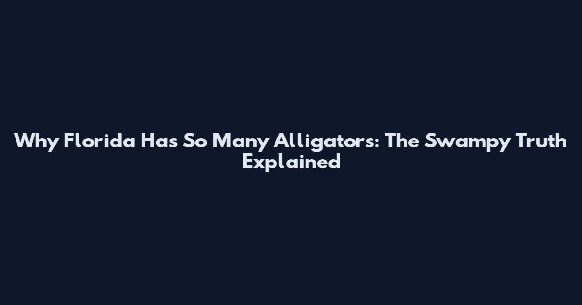 Why Florida Has So Many Alligators: The Swampy Truth Explained