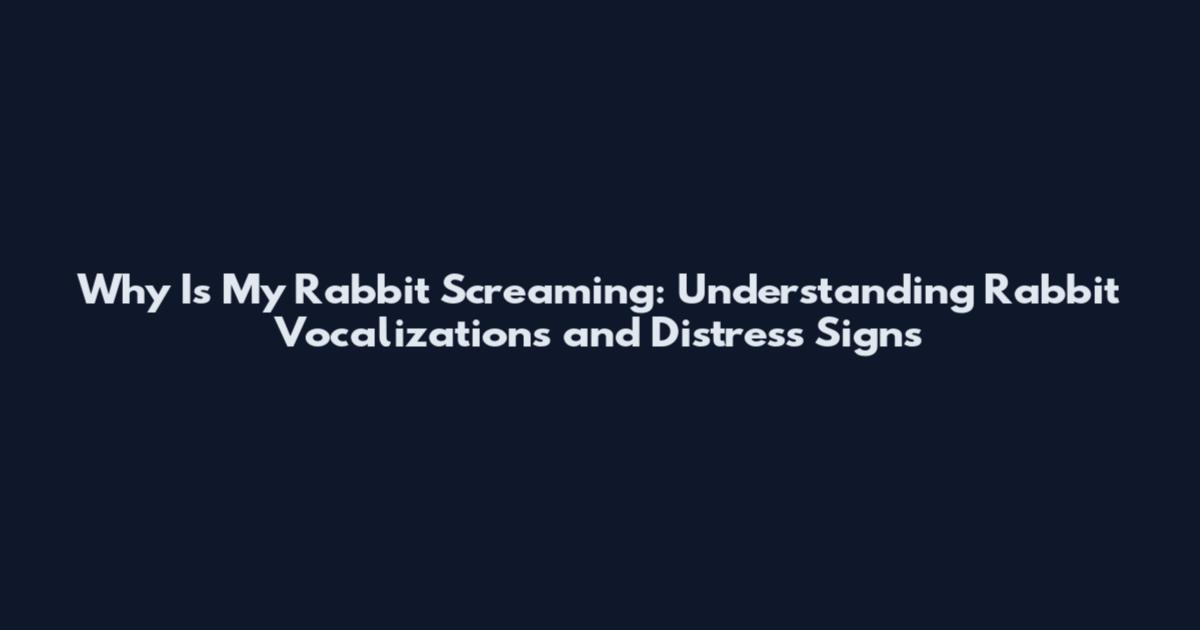 Why Is My Rabbit Screaming: Understanding Rabbit Vocalizations and Distress Signs