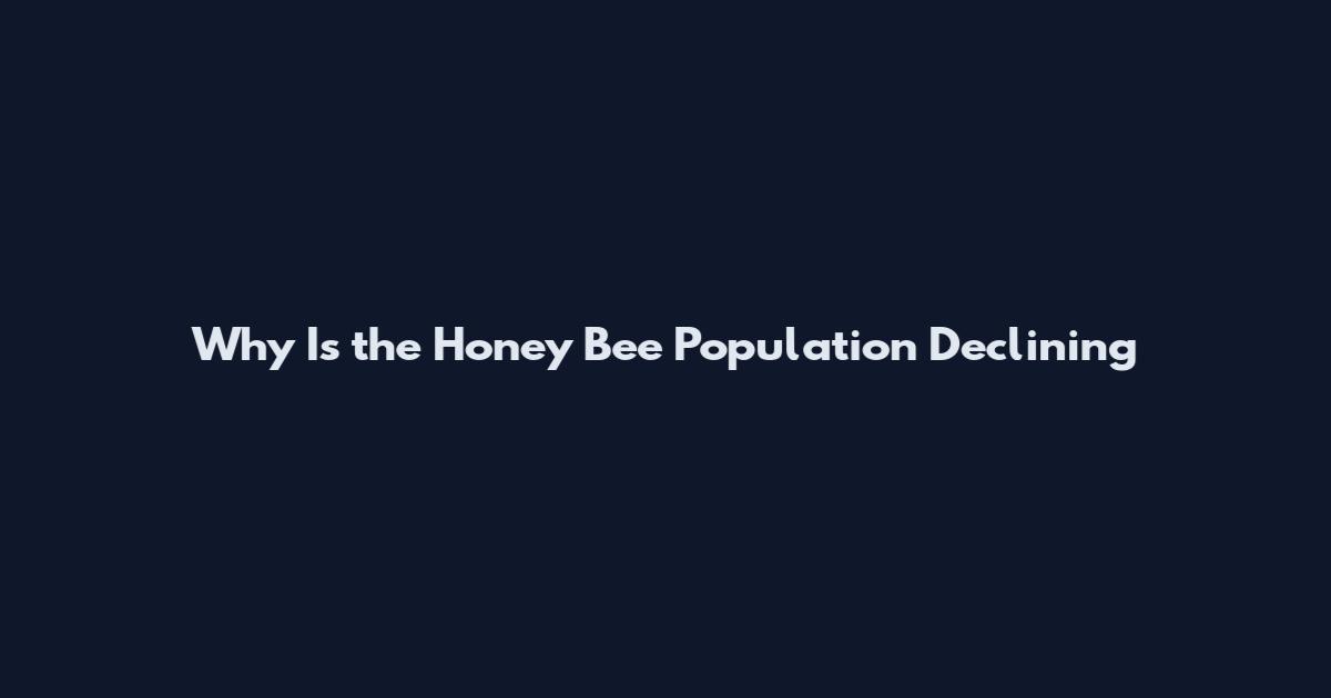 Why Is the Honey Bee Population Declining