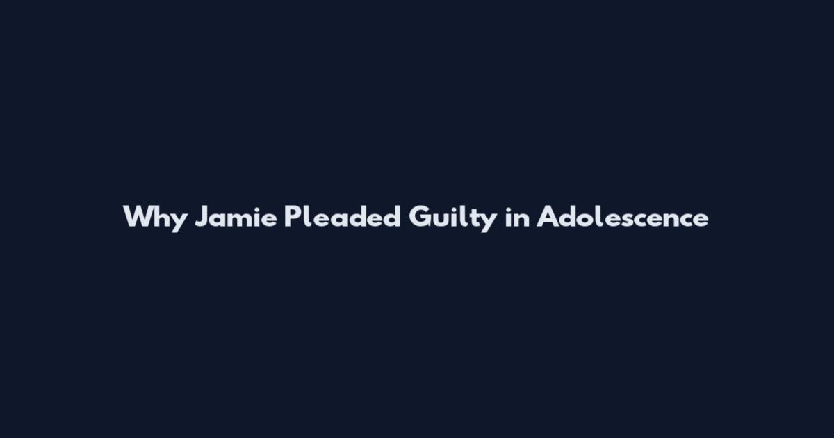 Why Jamie Pleaded Guilty in Adolescence