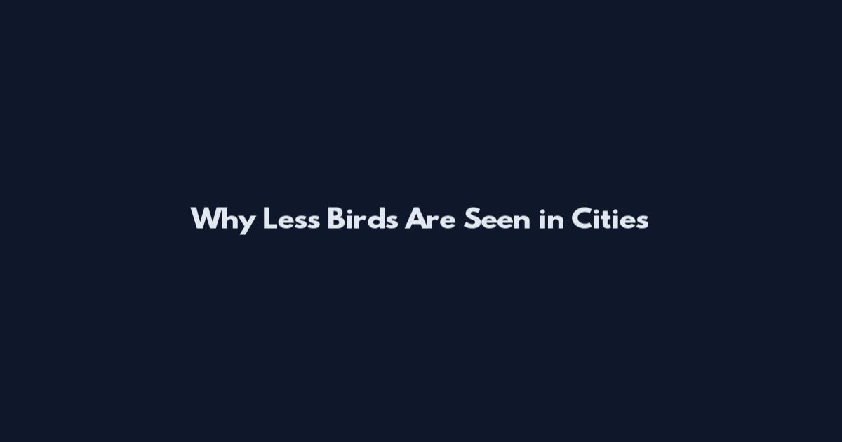 Why Less Birds Are Seen in Cities