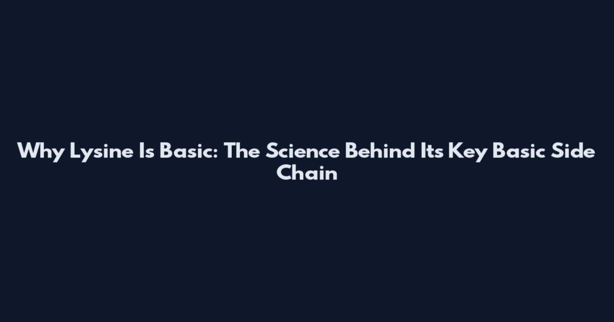 Why Lysine Is Basic: The Science Behind Its Key Basic Side Chain