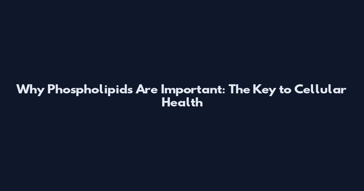 Why Phospholipids Are Important: The Key to Cellular Health
