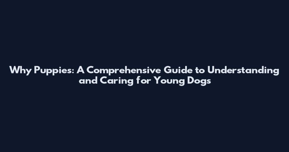 Why Puppies: A Comprehensive Guide to Understanding and Caring for Young Dogs