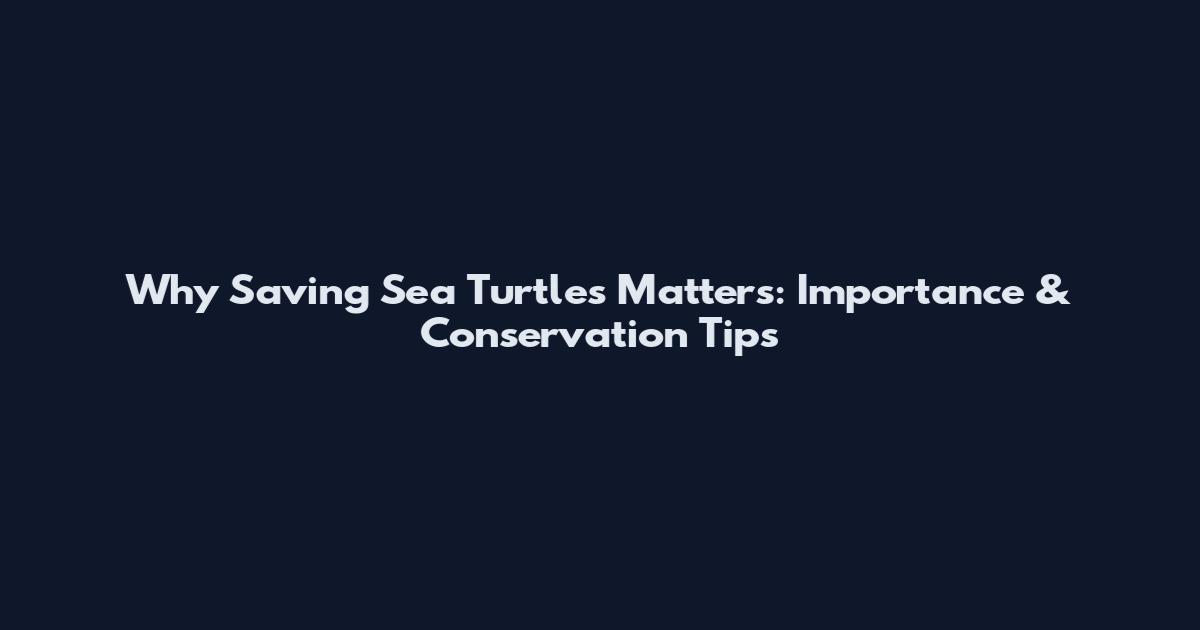 Why Saving Sea Turtles Matters: Importance & Conservation Tips