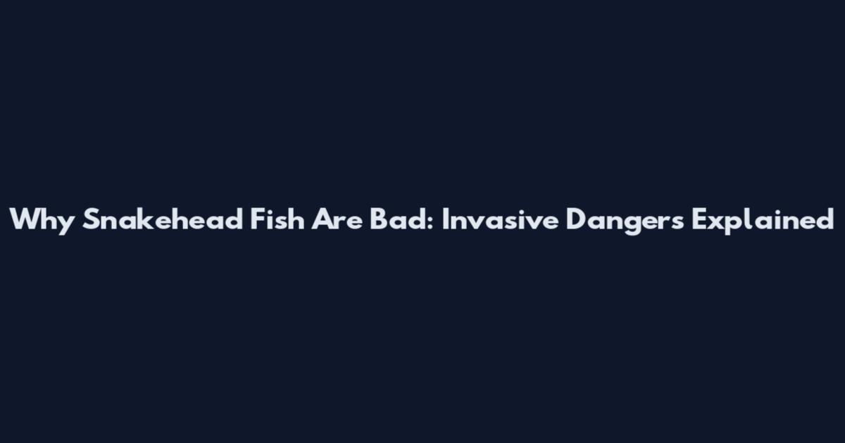 Why Snakehead Fish Are Bad: Invasive Dangers Explained