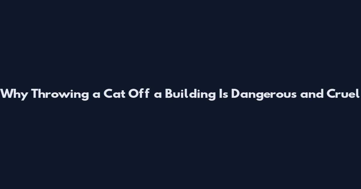 Why Throwing a Cat Off a Building Is Dangerous and Cruel
