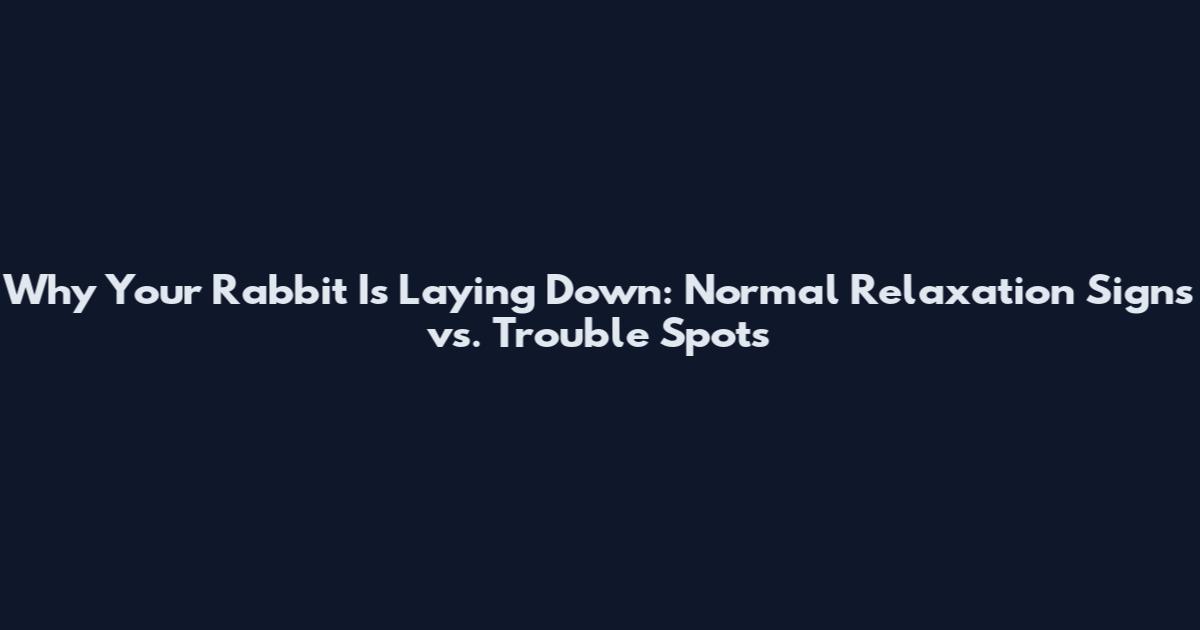 Why Your Rabbit Is Laying Down: Normal Relaxation Signs vs. Trouble Spots