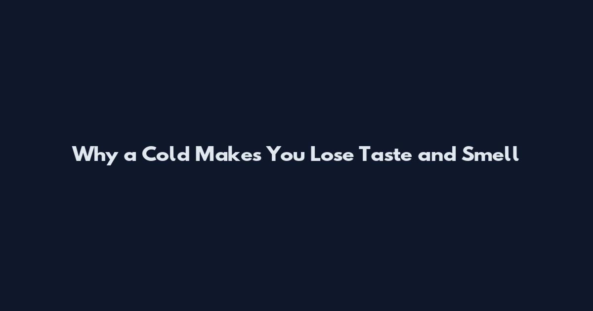 Why a Cold Makes You Lose Taste and Smell