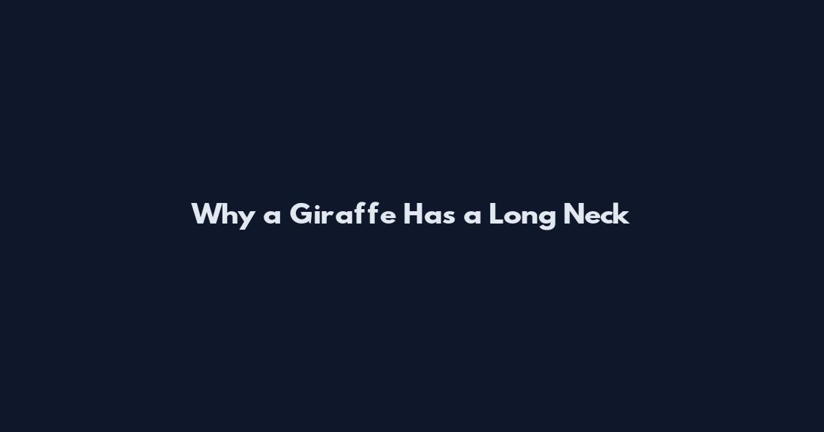 Why a Giraffe Has a Long Neck
