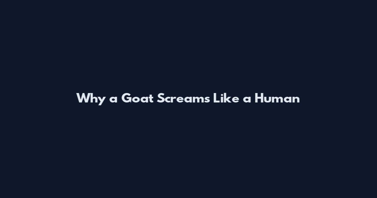 Why a Goat Screams Like a Human