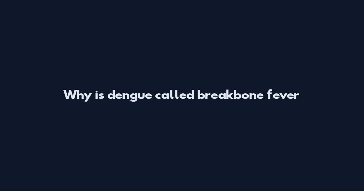 Why is dengue called breakbone fever