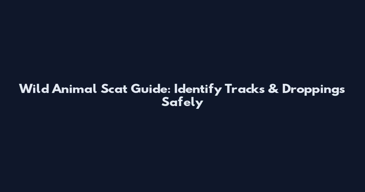 Wild Animal Scat Guide: Identify Tracks & Droppings Safely