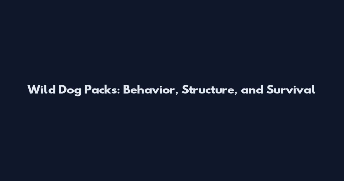 Wild Dog Packs: Behavior, Structure, and Survival