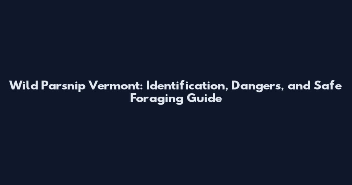 Wild Parsnip Vermont: Identification, Dangers, and Safe Foraging Guide