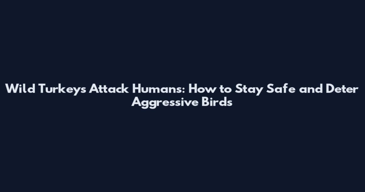 Wild Turkeys Attack Humans: How to Stay Safe and Deter Aggressive Birds