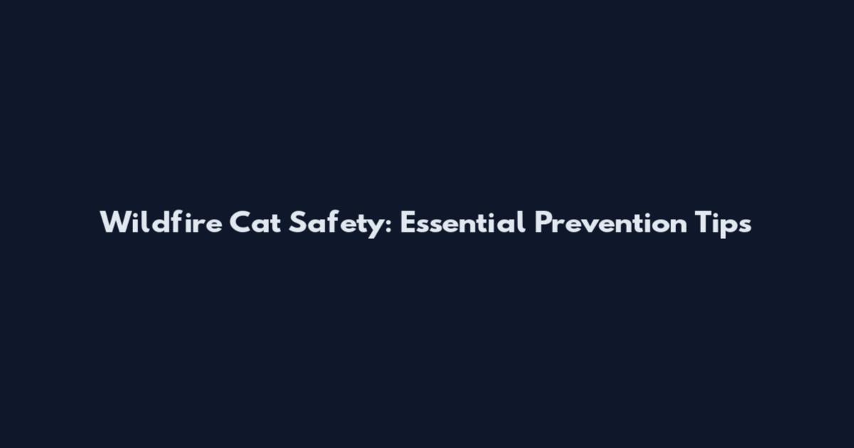 Wildfire Cat Safety: Essential Prevention Tips