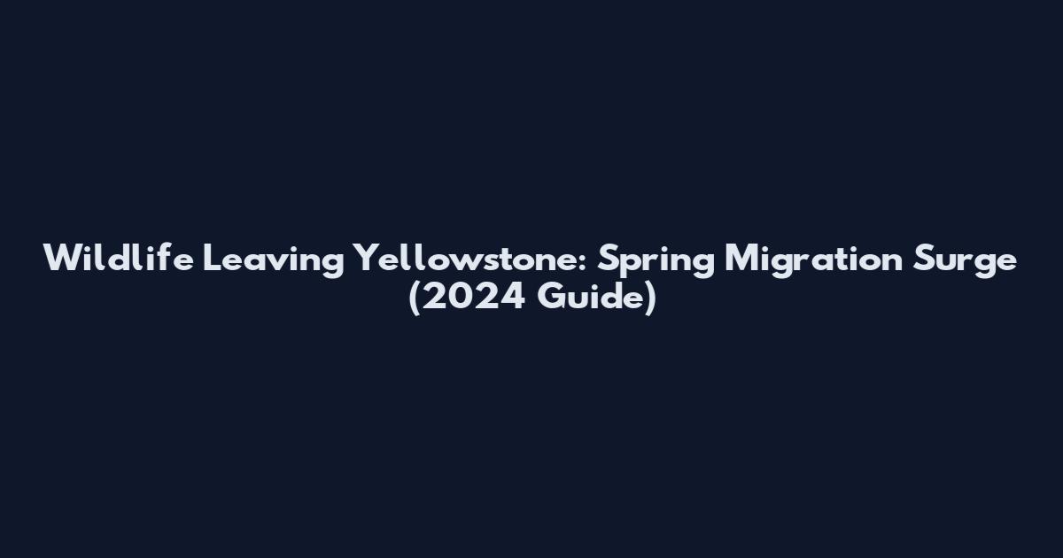 Wildlife Leaving Yellowstone: Spring Migration Surge (2024 Guide)