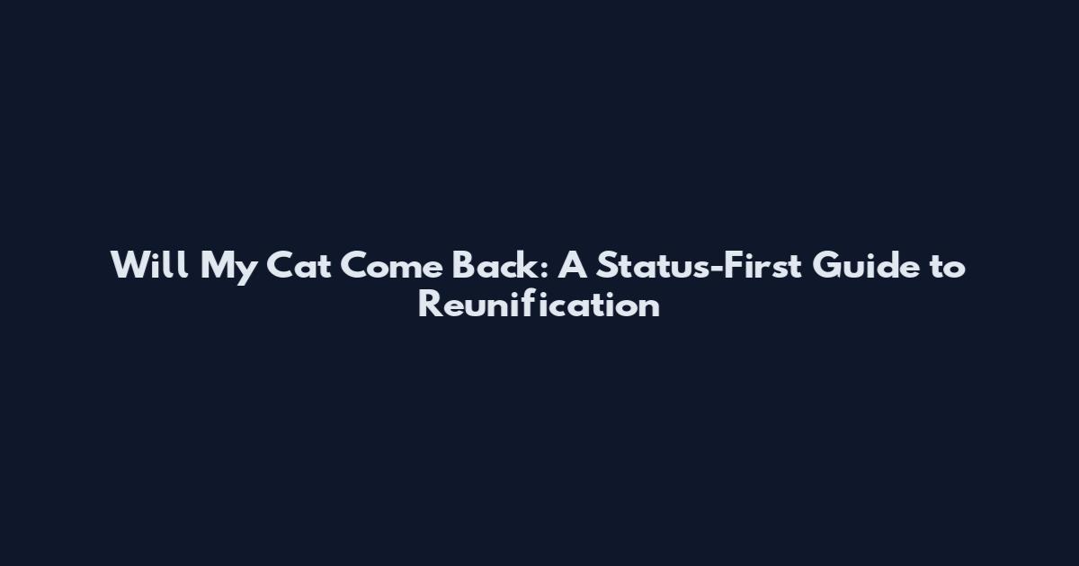 Will My Cat Come Back: A Status-First Guide to Reunification
