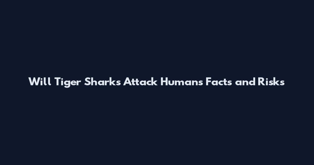 Will Tiger Sharks Attack Humans Facts and Risks