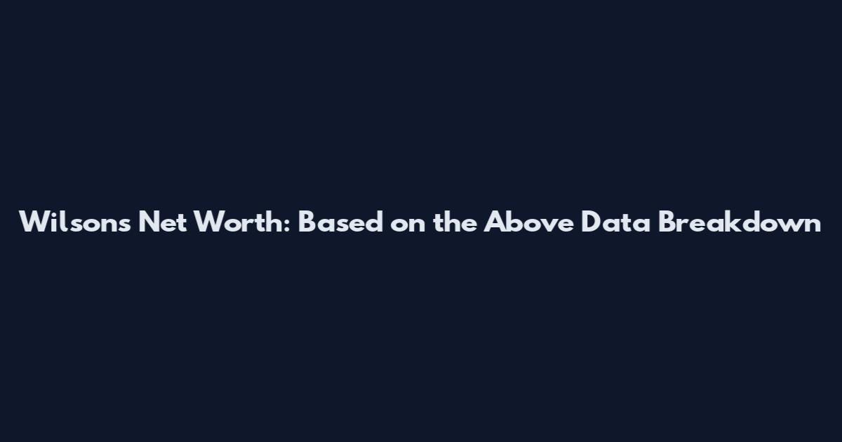 Wilson's Net Worth: Based on the Above Data Breakdown