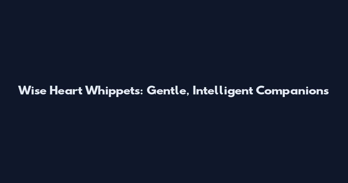 Wise Heart Whippets: Gentle, Intelligent Companions