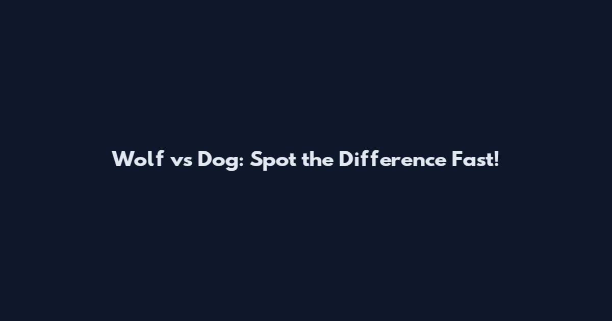 Wolf vs Dog: Spot the Difference Fast!