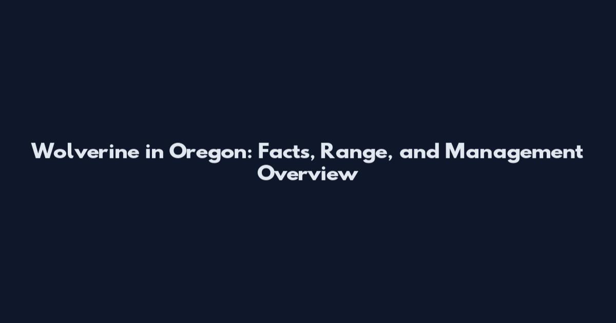 Wolverine in Oregon: Facts, Range, and Management Overview