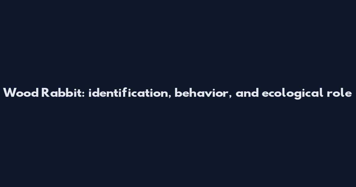 Wood Rabbit: identification, behavior, and ecological role