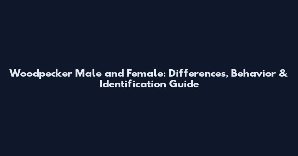 Woodpecker Male and Female: Differences, Behavior & Identification Guide