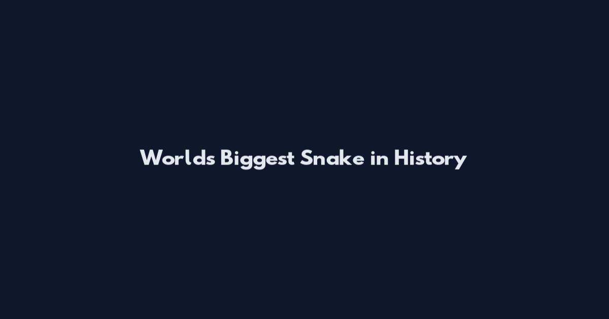 World's Biggest Snake in History