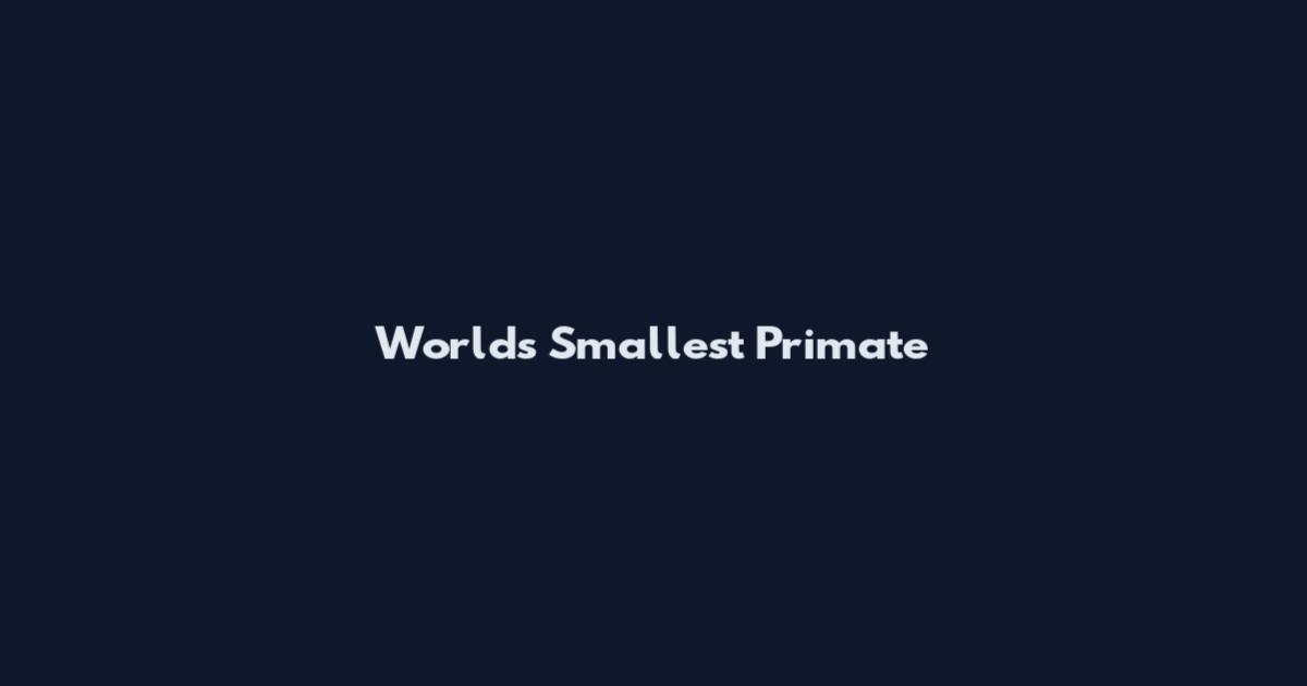 World's Smallest Primate