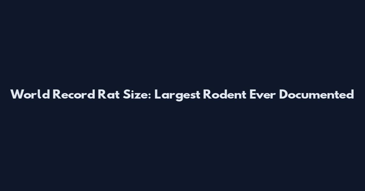 World Record Rat Size: Largest Rodent Ever Documented
