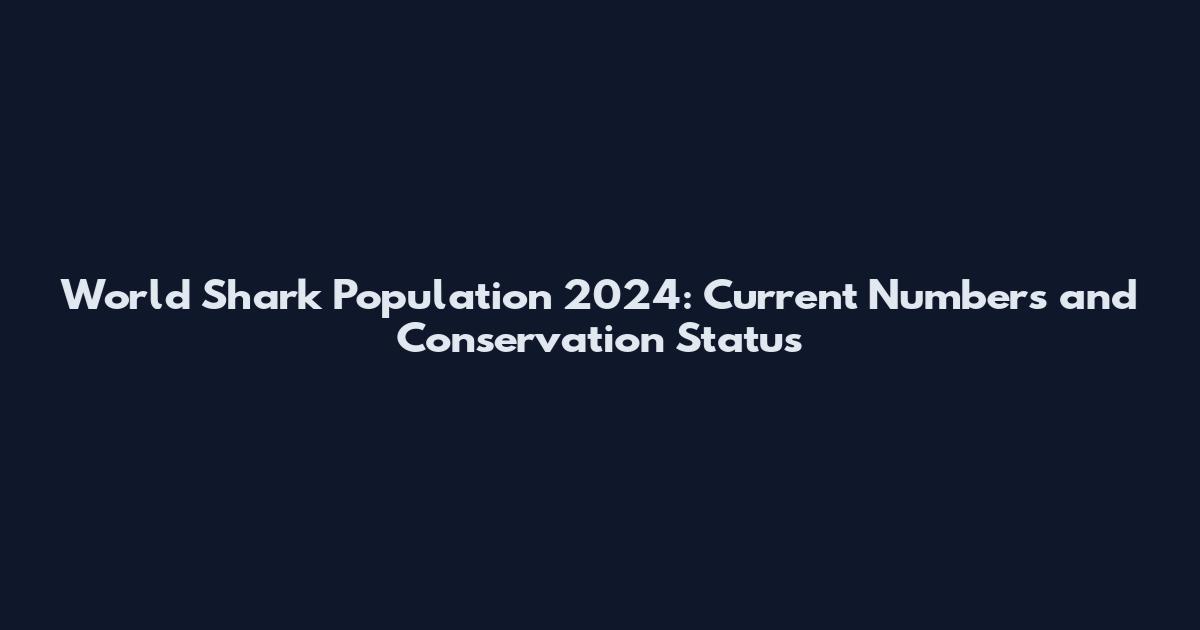 World Shark Population 2024: Current Numbers and Conservation Status