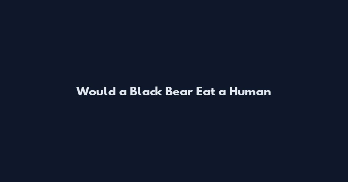 Would a Black Bear Eat a Human