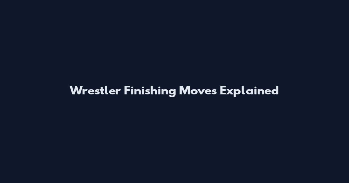 Wrestler Finishing Moves Explained