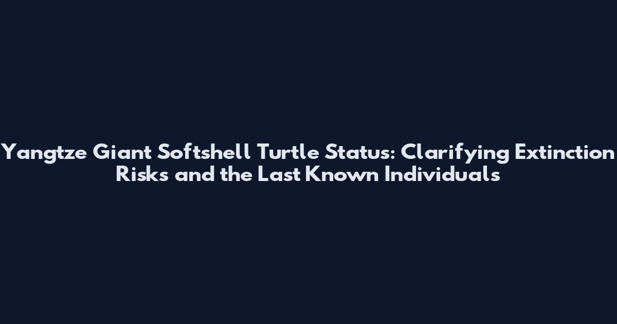 Yangtze Giant Softshell Turtle Status: Clarifying Extinction Risks and the Last Known Individuals