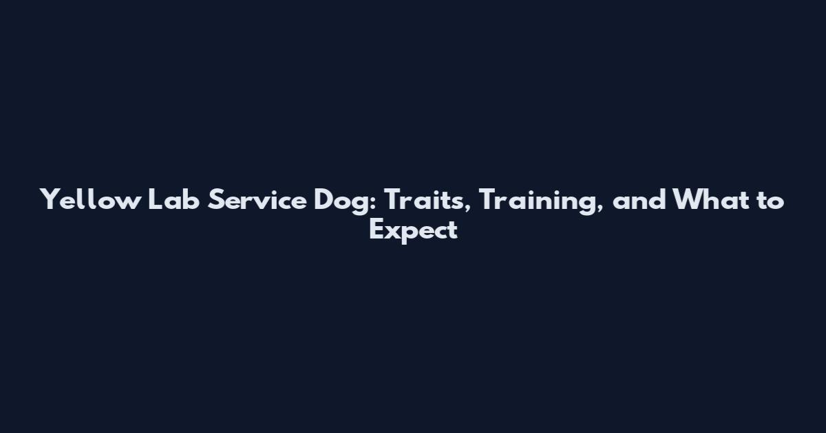 Yellow Lab Service Dog: Traits, Training, and What to Expect