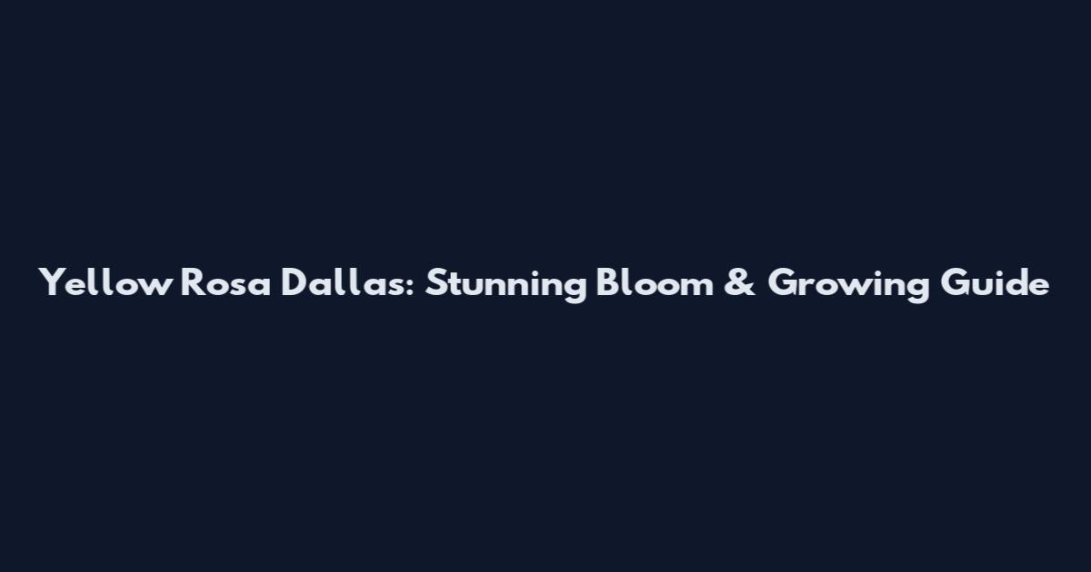Yellow Rosa Dallas: Stunning Bloom & Growing Guide